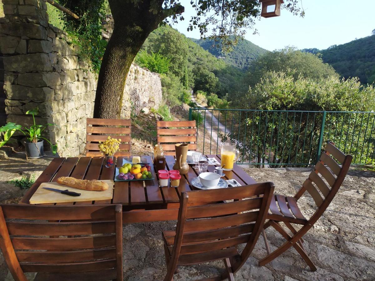 Chambre Cevennes: Piscine, Lamas, Riviere Cros (Gard) Exterior foto