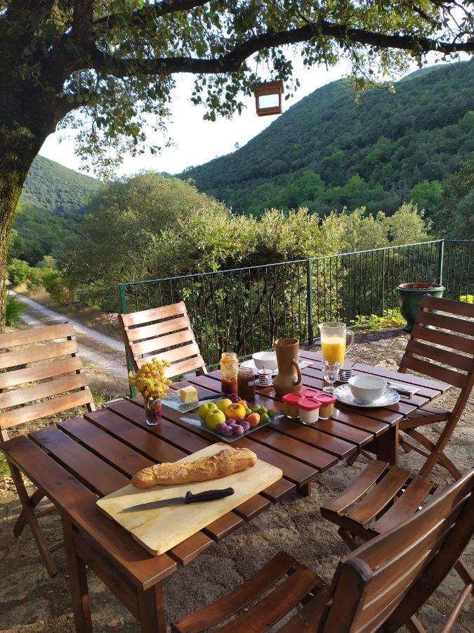 Chambre Cevennes: Piscine, Lamas, Riviere Cros (Gard) Exterior foto